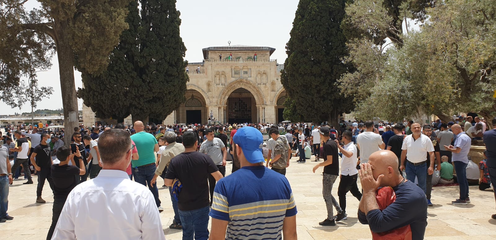 WhatsApp Image 2021-05-21 at 3.13.49 PM.jpeg